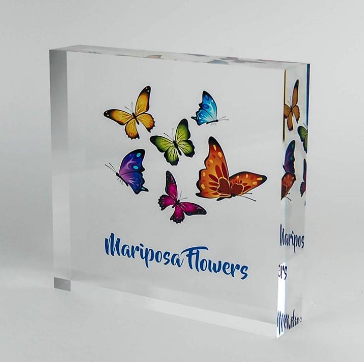 Acrylic Logo Block For Display