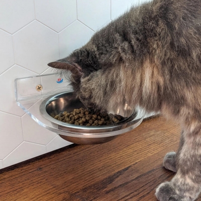 Transparent Acrylic Pet Food Display Stand