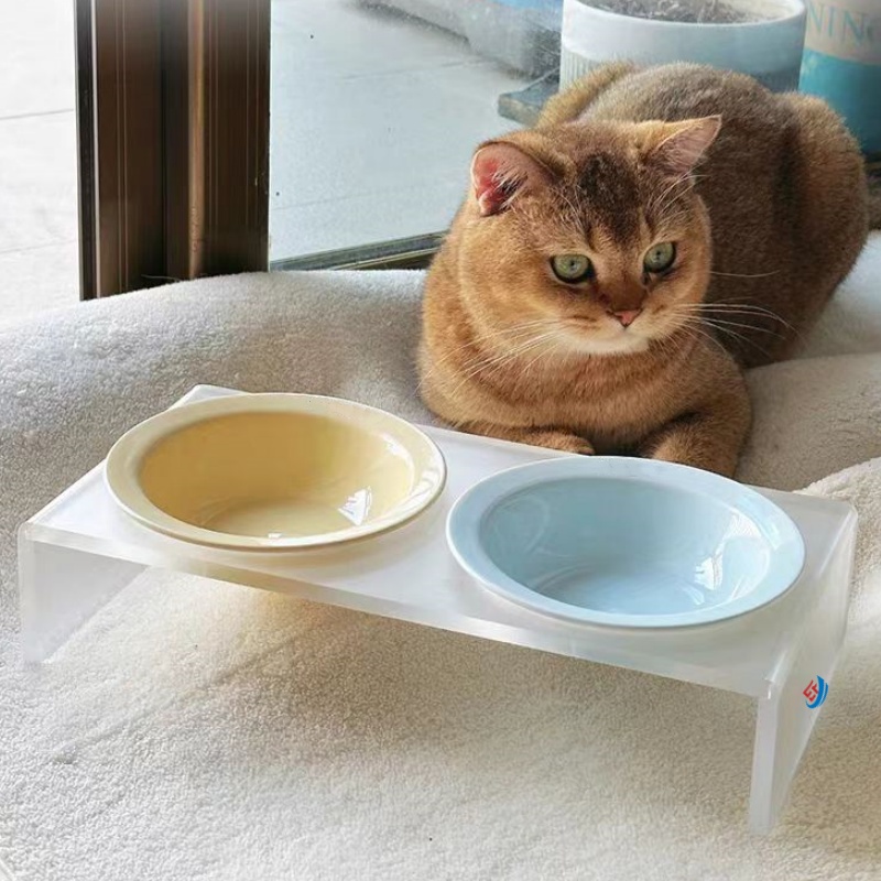 Modern Acrylic Dog Bowl Holder Station